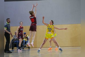 Sovičky u nás rabovali najmä vďaka presnej muške spoza oblúka