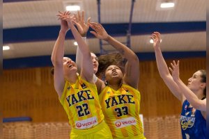 YOUNG ANGELS Košice vs.Piešťanské Čajky, autor: Jäzva