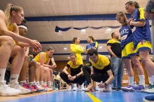 YOUNG ANGELS Košice vs.Piešťanské Čajky, autor: Jäzva