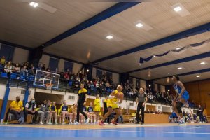 YOUNG ANGELS Košice vs.Piešťanské Čajky, autor: Jäzva