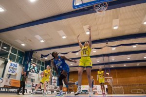 YOUNG ANGELS Košice vs.Piešťanské Čajky, autor: Jäzva