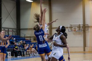 20231126 Piešťanské Čajky vs. YOUNG ANGELS Košice