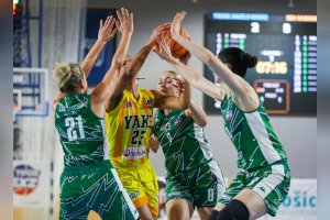 20260305 YOUNG ANGELS Košice vs. ŠBK Šamorín